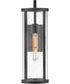 Alfie 1-Light Medium Wall Mount Lantern in Black