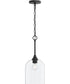 Ilia 1-Light Pendant with Clear Glass Shade Matte Black