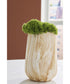 Cammen Vase Tan/White