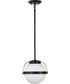 Lakeshore 1-Light Pendant Matte Black
