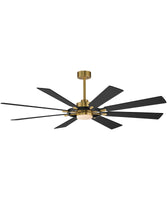 Large Ceiling Fans