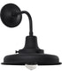 Morris 1-Light Outdoor Black