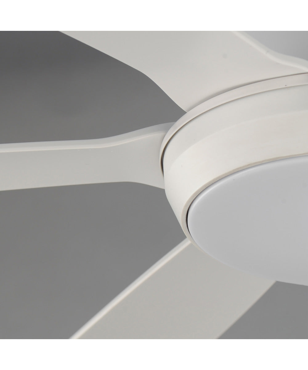Albatross 72 inch 6-Blade Marine Grade Fan w LED Matte White