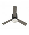 Ceiling Fans