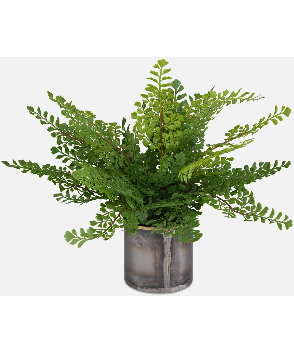 Maidenhair Fern In Oxidized Container