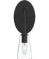Jheni 1-Light Wall Sconce with Clear Glass Shades Matte Black