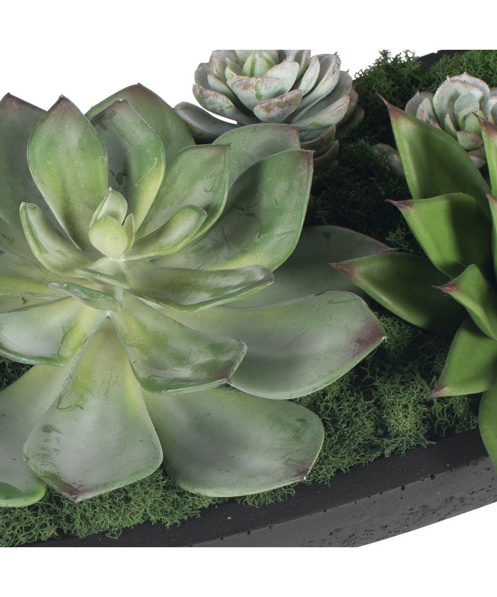 Verde Succulent Centerpiece In Bowl