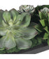 Verde Succulent Centerpiece In Bowl