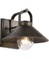 Ridge 1-Light Outdoor Bronze