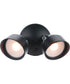 LED Flood 2-Light Outdoor Lighting Midnight