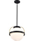Lakeshore 1-Light Pendant Matte Black