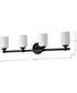 Solara 4-Light Vanity & Wall Matte Black