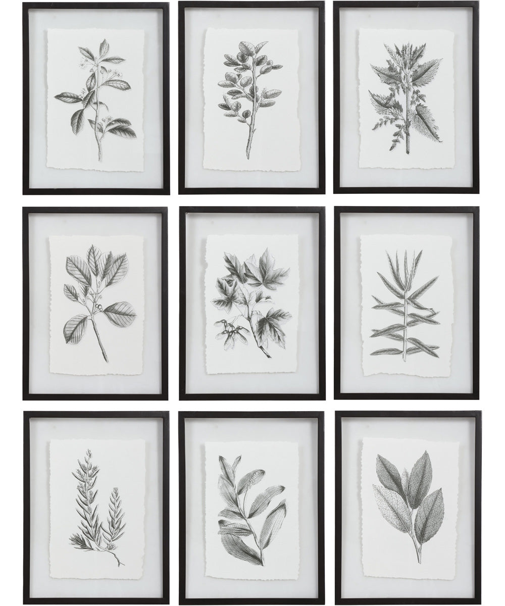 Farmhouse Florals Framed Prints Set/9