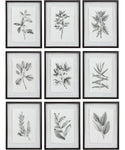 framed art