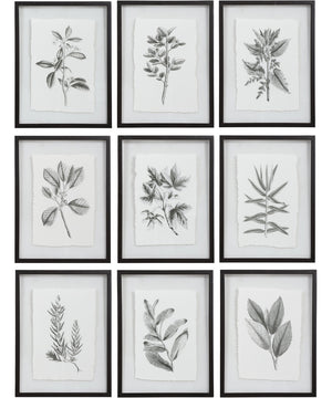 Farmhouse Florals Framed Prints Set/9