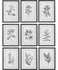 Floral and Leaf Art
