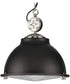 Medal 1-Light Clear Patterned Glass Coastal Pendant Light Graphite