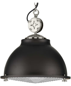 Medal 1-Light Clear Patterned Glass Coastal Pendant Light Graphite
