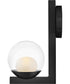 Sunni 1-Light Medium Single Light Sconce in Black