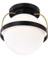 Lakeshore 1-Light Close-to-Ceiling Matte Black