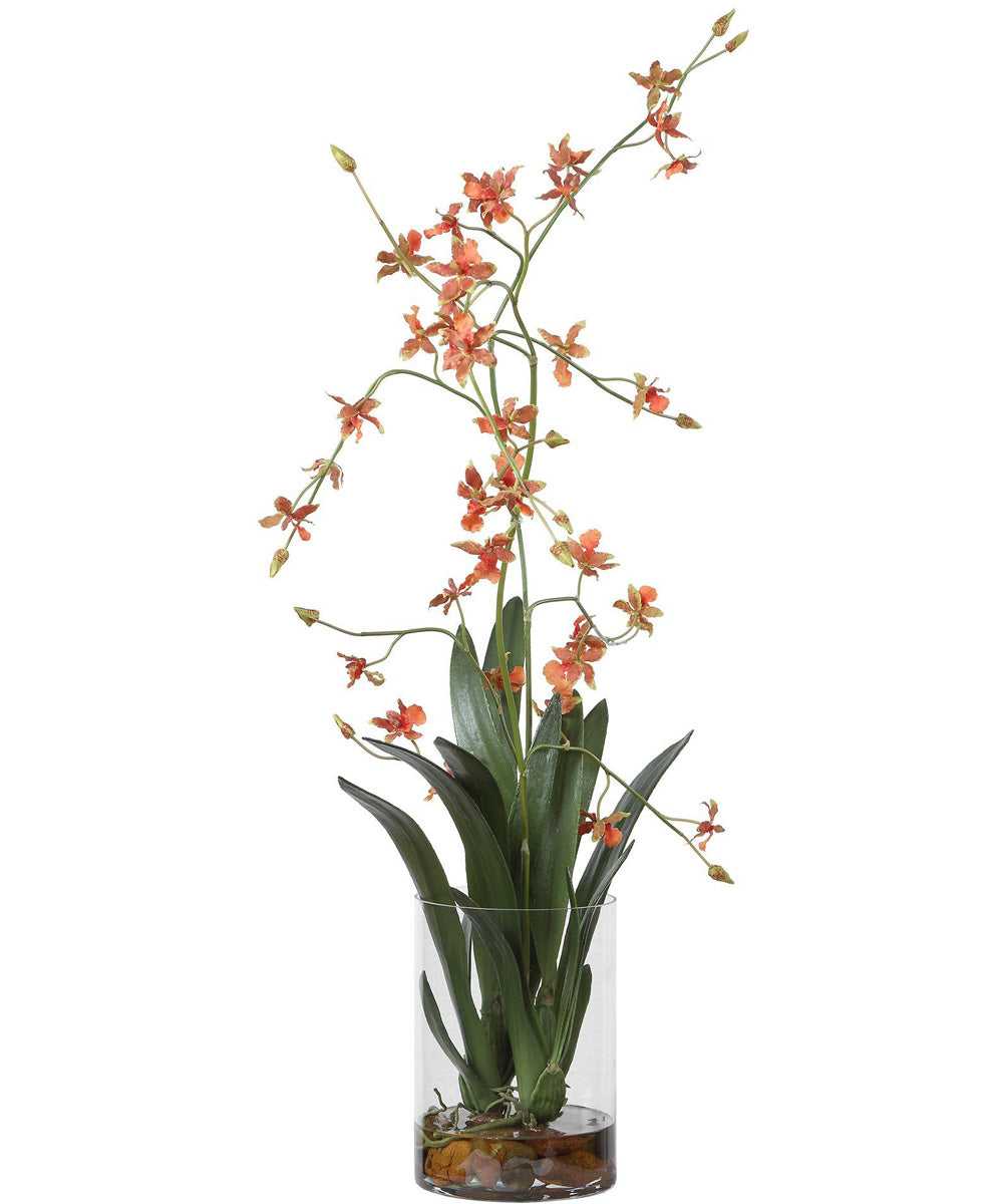 Dancing Orchid In Glass Vase