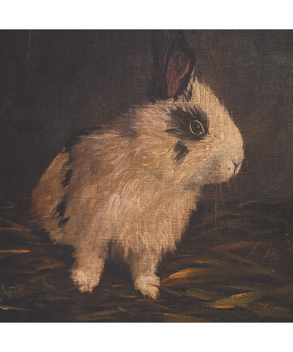 Resting Bunny Framed Prints Set/9