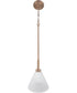 Pleated II 1-Light Lighting Premium Bronze