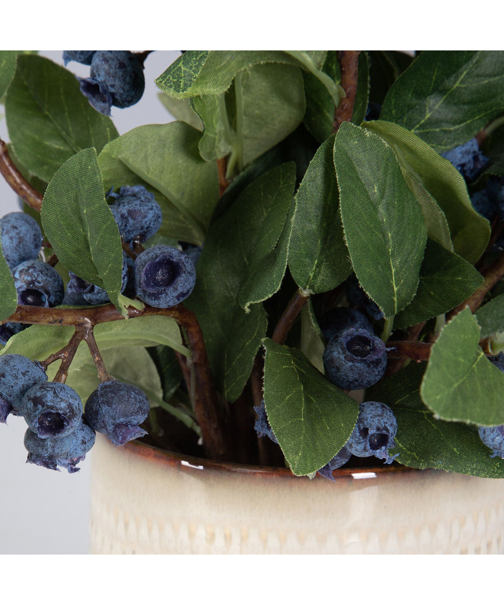 Blueberry Fields Accent