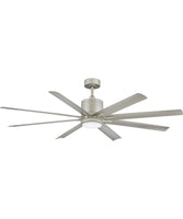 Ceiling Fans with Lights