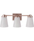 Zane 3-Light Lighting Premium Bronze
