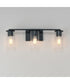 Livingston 3-Light Bath Vanity Black