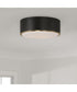 Carlton 3-Light Flush Matte Brass and Black