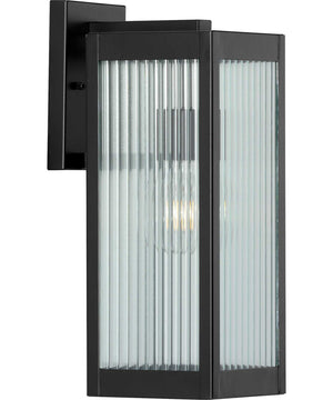 Felton Black 1-Light Medium Wall Lantern Matte Black