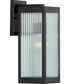 Felton Black 1-Light Medium Wall Lantern Matte Black