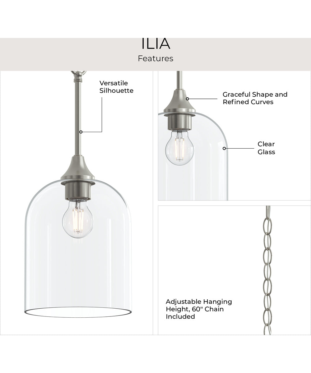 Ilia 1-Light Pendant with Clear Glass Shade Brushed Nickel