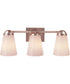 Zane 3-Light Lighting Premium Bronze