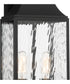 Blueberry Trail 2 Light Wall Lantern Black