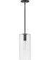 Lane 1-Light Extra Small Single Light Pendant in Black