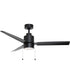 Falcon Pull Chain 52 inch In/Outdoor Fan w LED Light Black