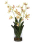 Spider Orchid In Glass Vase