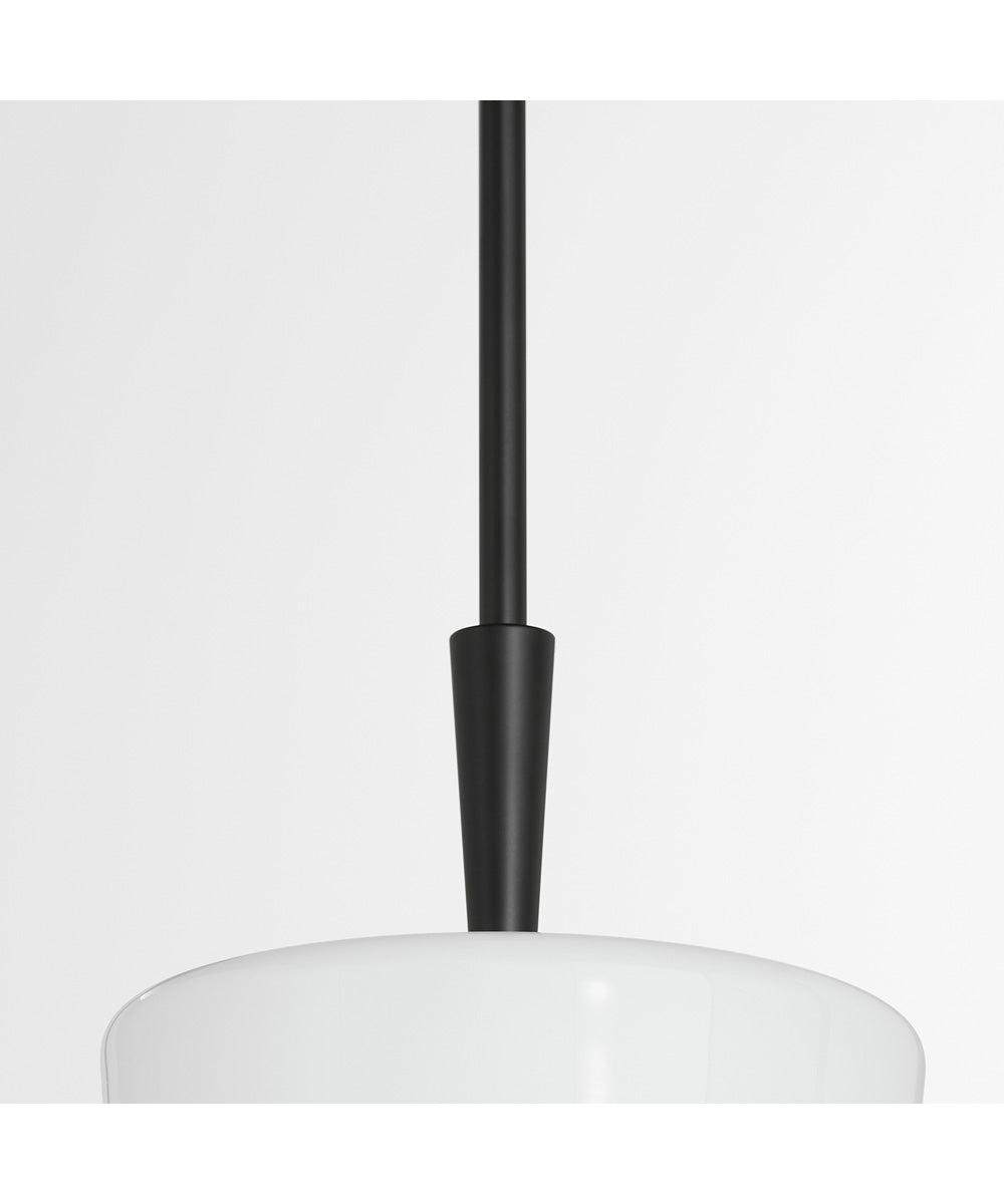 Goodwin Pendant Matte Black