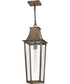 Georgetown Coastal Elements  1-Light Large Hanging Lantern in Burnished Bronze