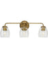 Quillan 3-Light Transitional Bath & Vanity Light Gold Ombre