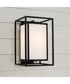 Aiden 1-Light Outdoor Wall-Lantern Black