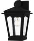 Huck Medium 1-light Outdoor Wall Light  Coastal Armour Aluminum Earth Black