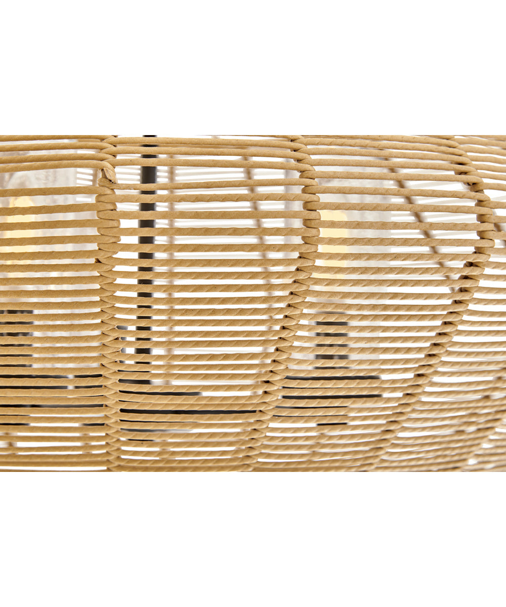 Luca 5-Light Medium Single Tier Chandelier in Black