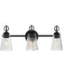 Jackson Hole 3-Light Bath Vanity Black