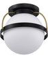 Lakeshore 1-Light Close-to-Ceiling Matte Black