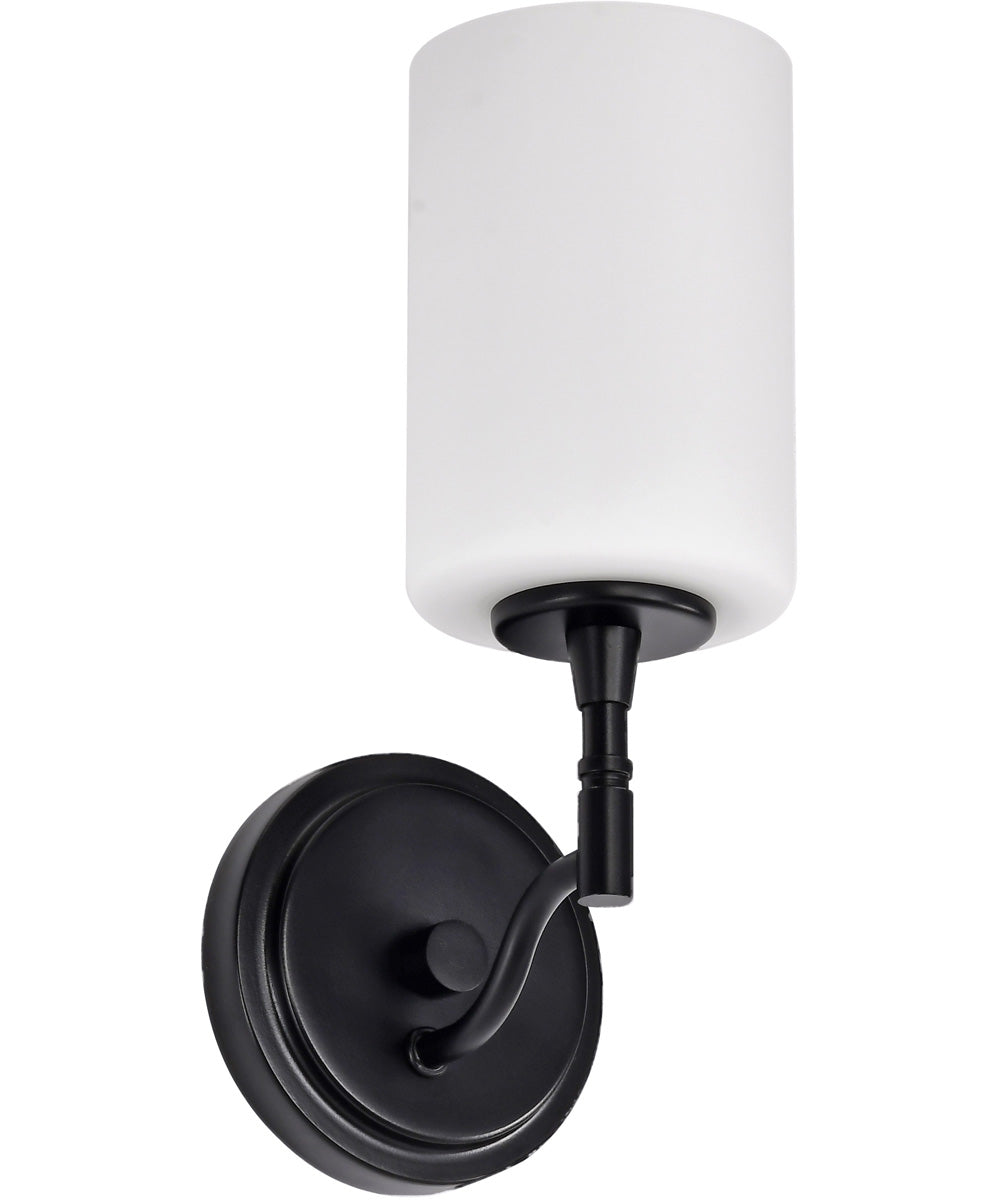 Liam 1-Light Vanity & Wall Matte Black