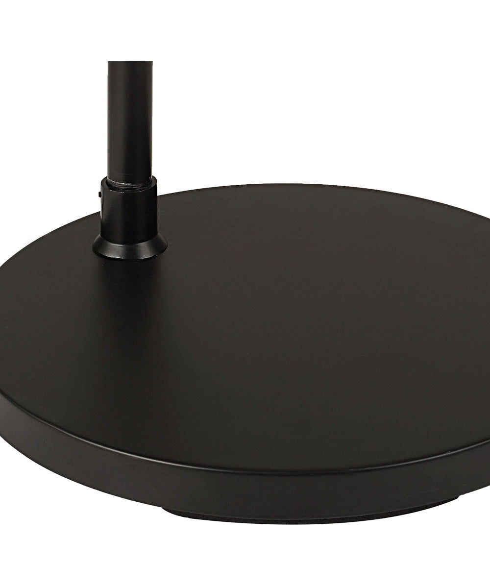 Arc Floor Lamp with Black Finish